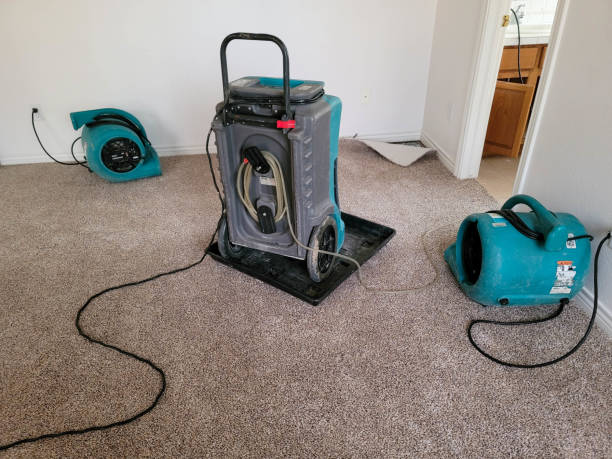 Best Water damage contractors near me  in Osceola, MO