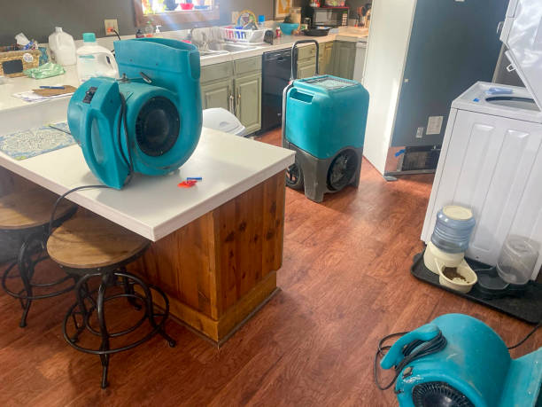 Best 24-hour water damage restoration  in Osceola, MO