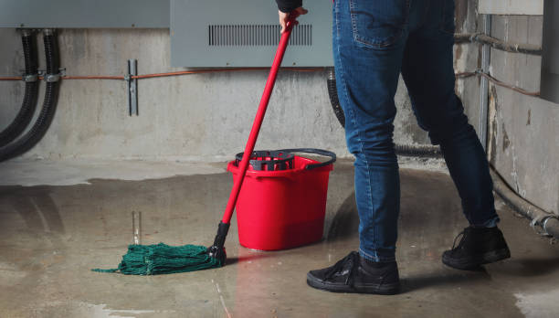 Best Flood restoration services  in Osceola, MO