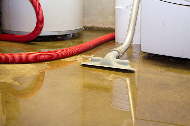 Best Mold removal after water damage  in Osceola, MO