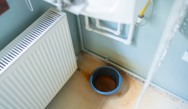 Best Water damage restoration cost  in Osceola, MO